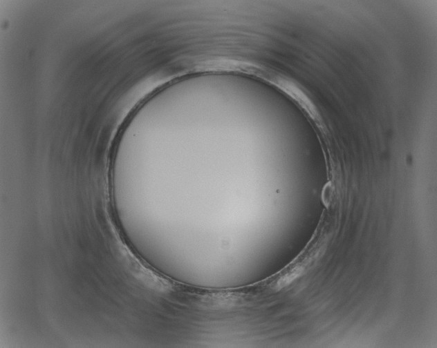 X0000066011000200603061253