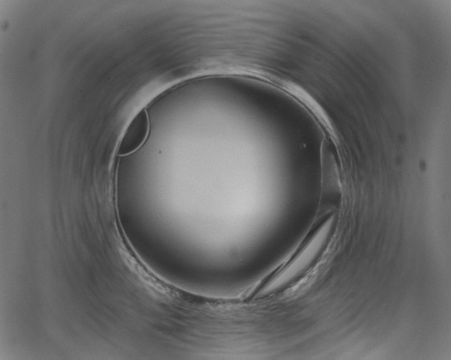 X0000066011004200603061253