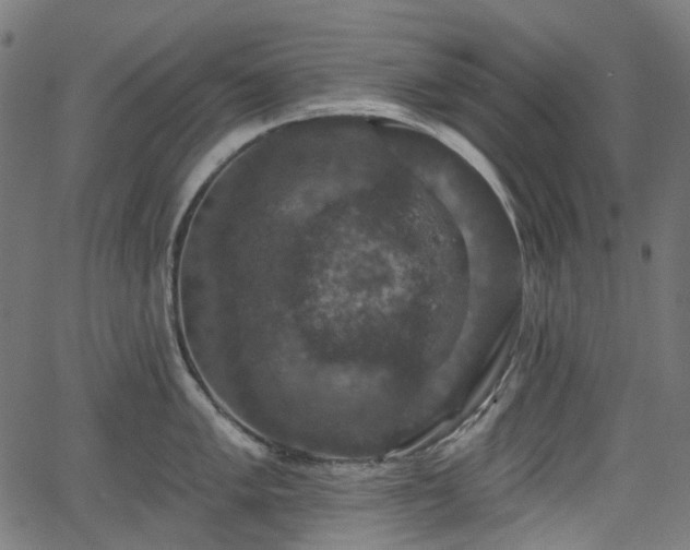 X0000066011005200603061253