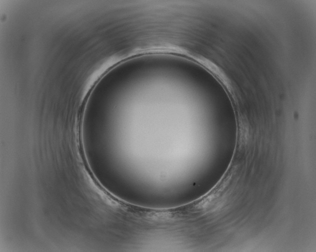 X0000066011006200603061253