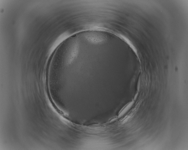 X0000066011007200603061253