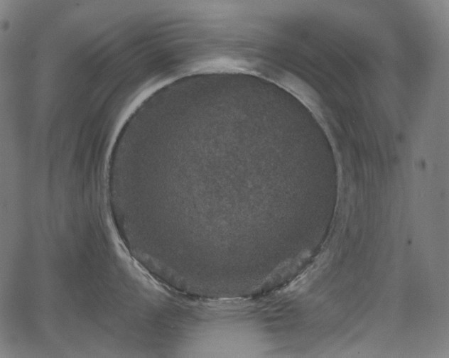 X0000066011008200603061252