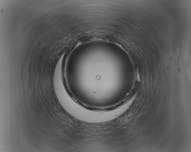 X0000066011010200603061252