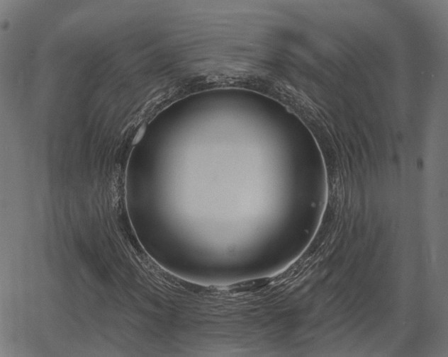 X0000066011012200603061252