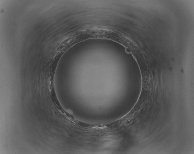 X0000066011013200603061252