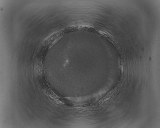 X0000066011014200603061252