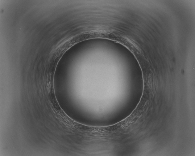 X0000066011015200603061252