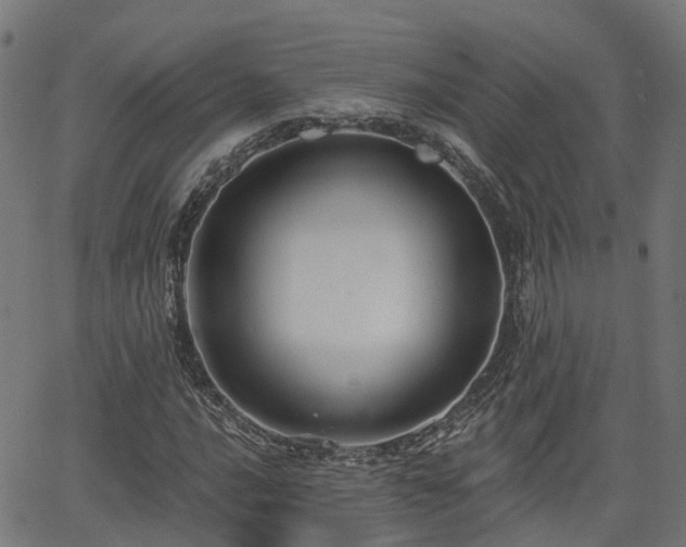 X0000066011016200603061252