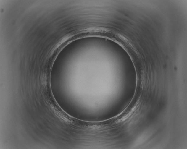 X0000066011017200603061252