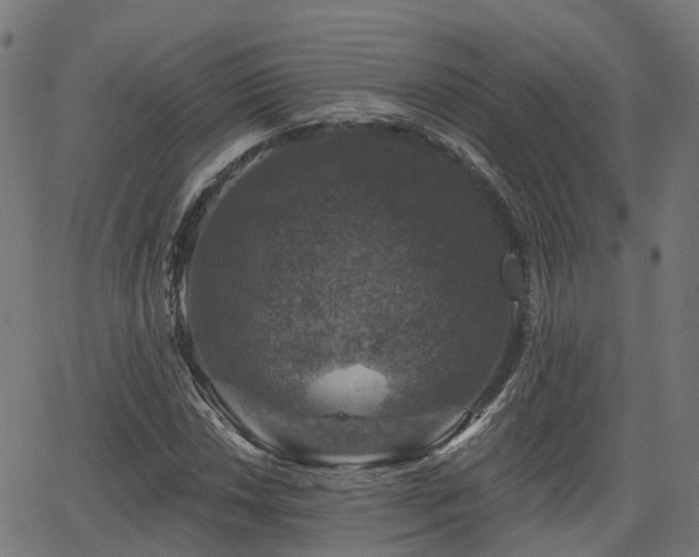 X0000066011018200603061252