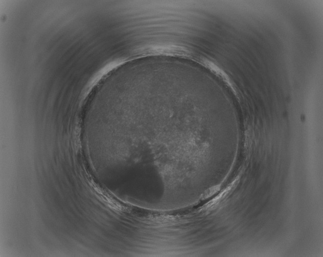 X0000066011019200603061252