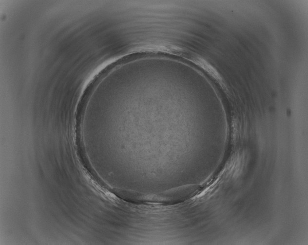 X0000066011020200603061252