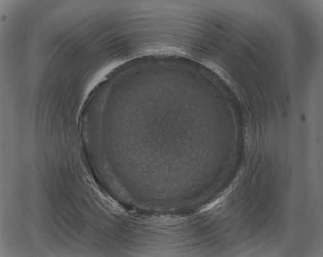 X0000066011022200603061252