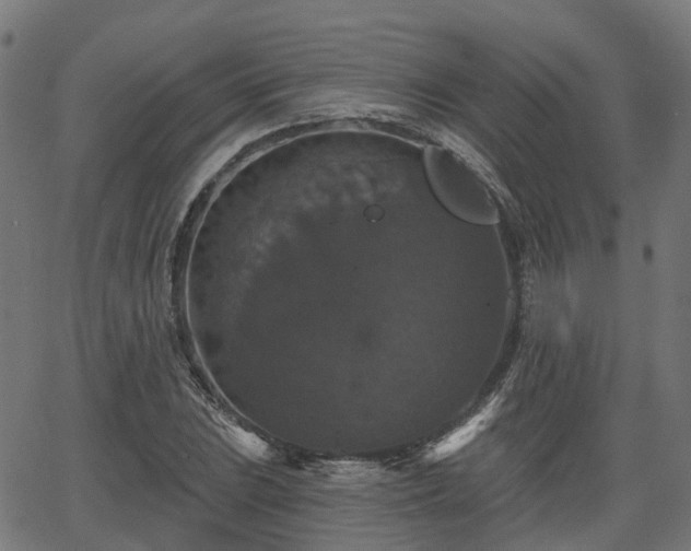 X0000066011023200603061252