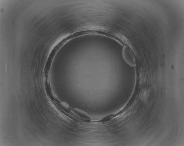 X0000066011024200603061252