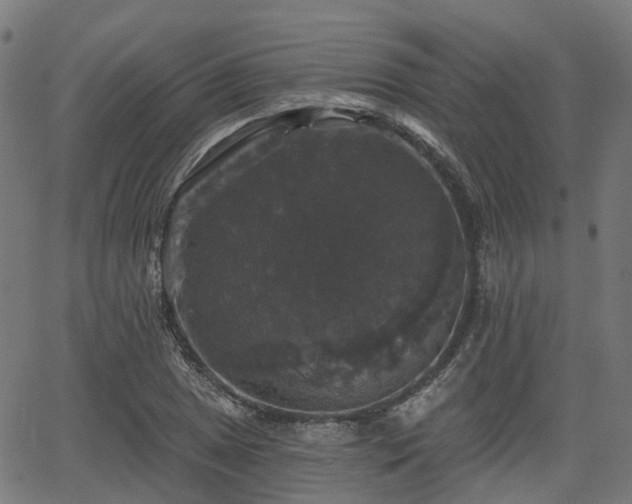 X0000066011025200603061252