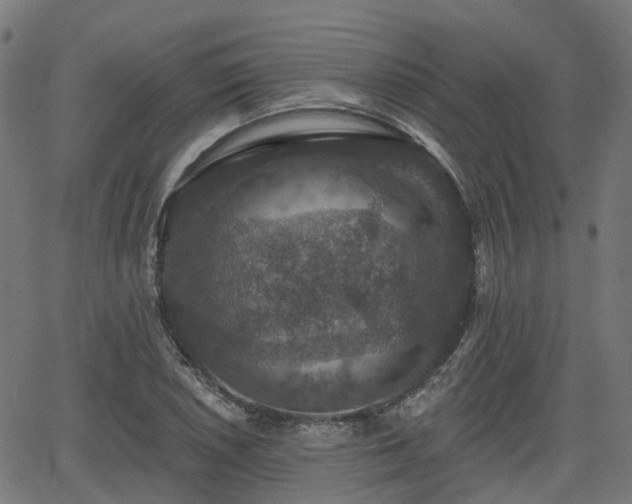 X0000066011026200603061252