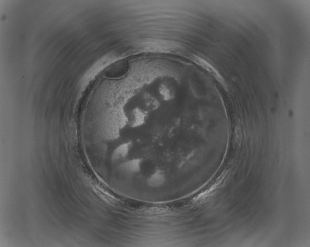 X0000066011027200603061252