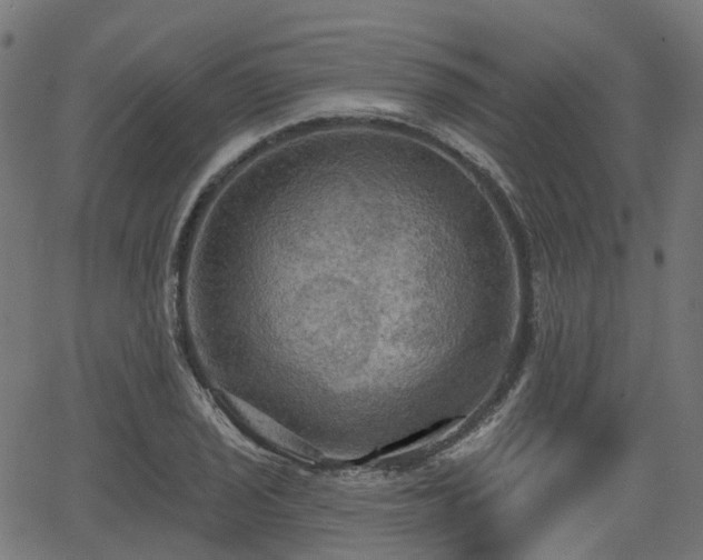 X0000066011029200603061252