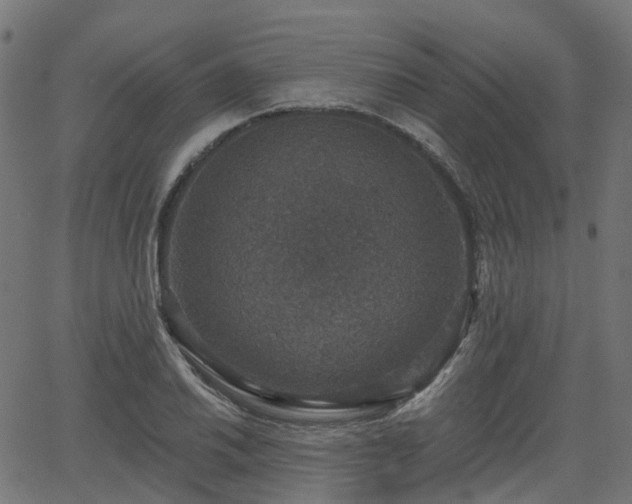 X0000066011030200603061252