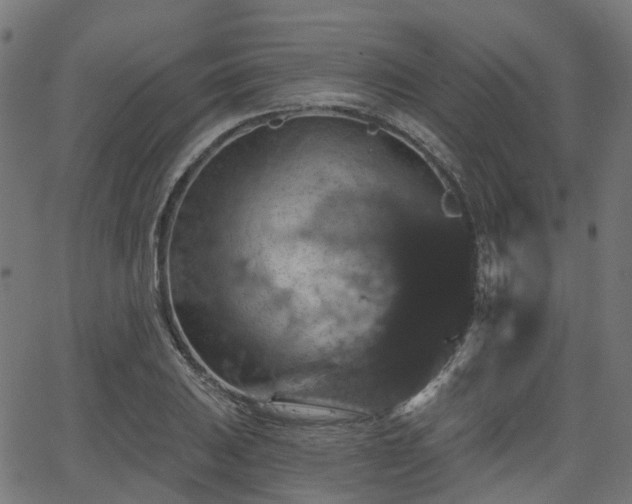 X0000066011031200603061252