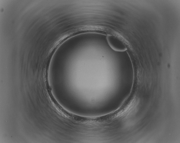 X0000066011033200603061252