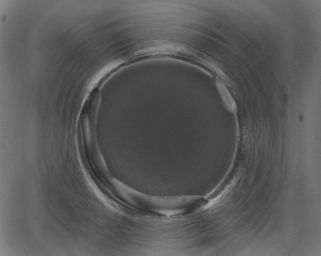 X0000066011034200603061252