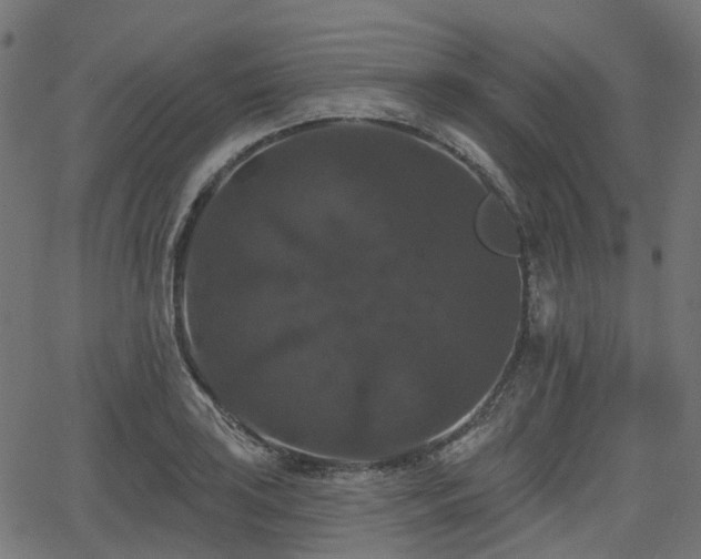 X0000066011035200603061252