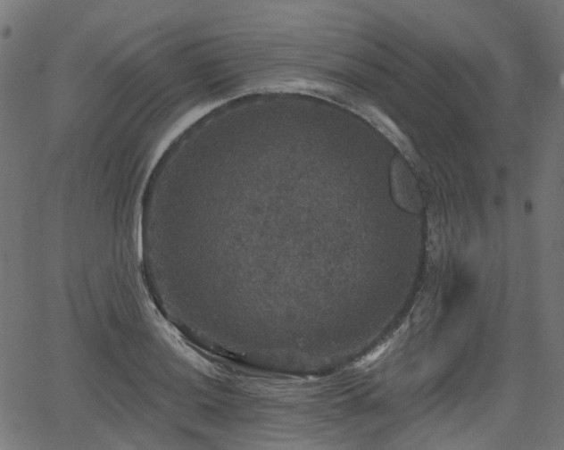 X0000066011036200603061252