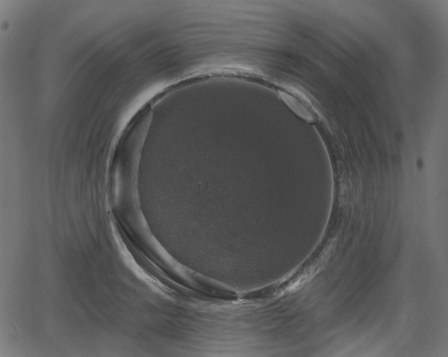 X0000066011038200603061252