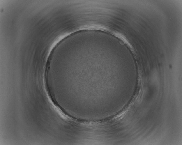 X0000066011040200603061252