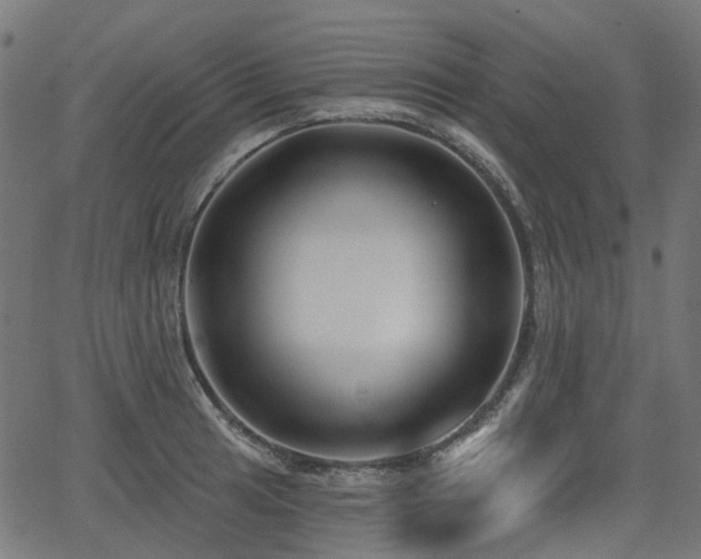 X0000066011041200603061252