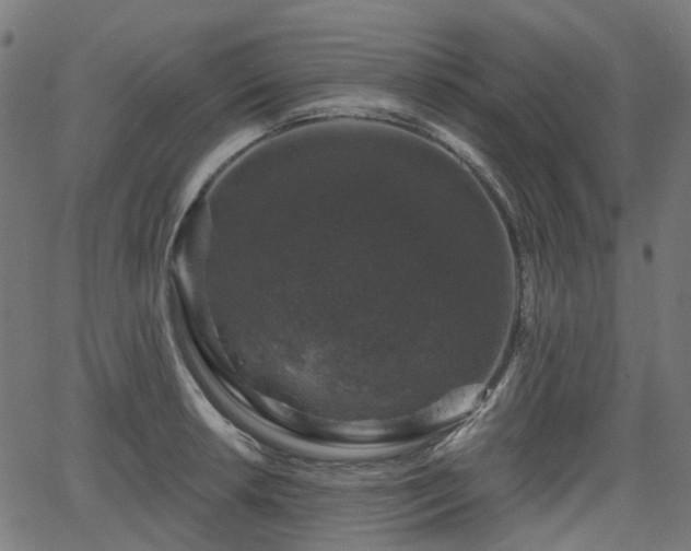 X0000066011042200603061252