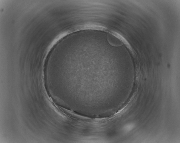 X0000066011043200603061252