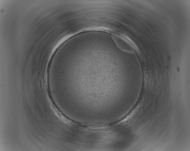 X0000066011044200603061252