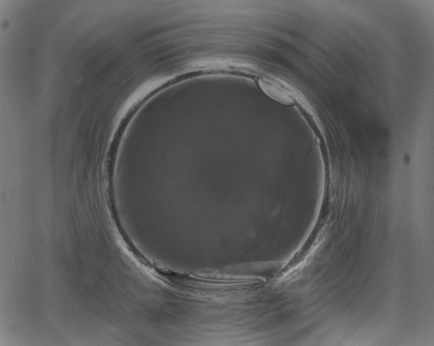 X0000066011045200603061252