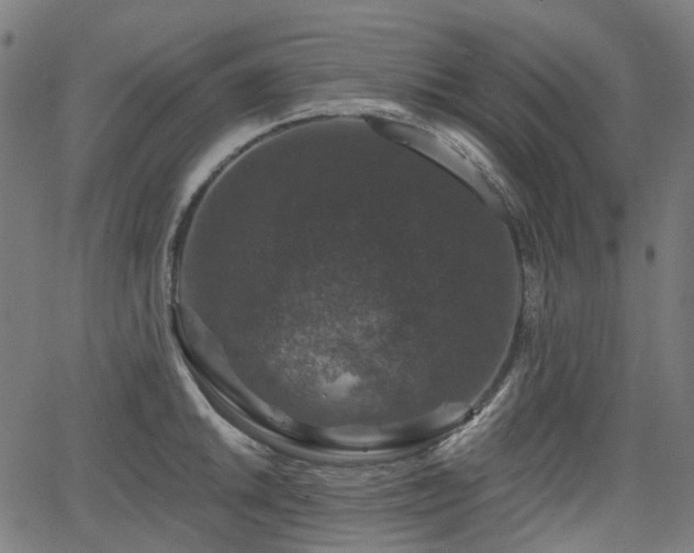 X0000066011046200603061252