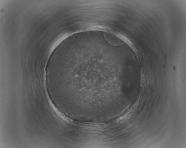 X0000066011047200603061252