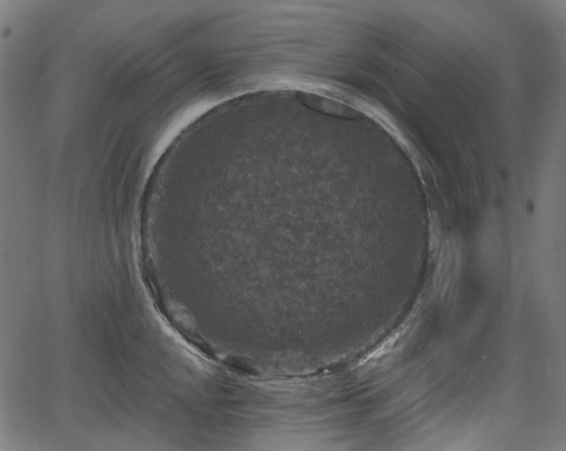 X0000066011048200603061252