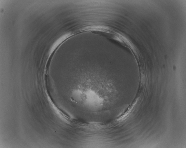 X0000066011050200603061252