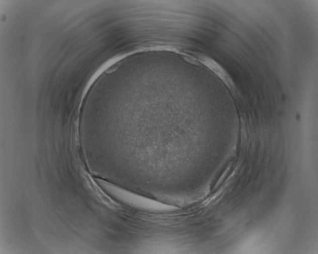 X0000066011052200603061252