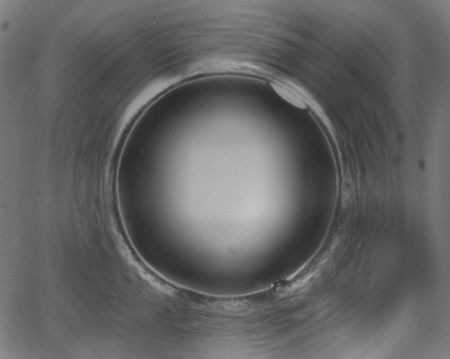 X0000066011053200603061252