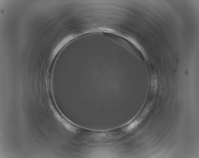 X0000066011054200603061252