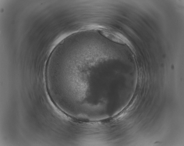 X0000066011055200603061252