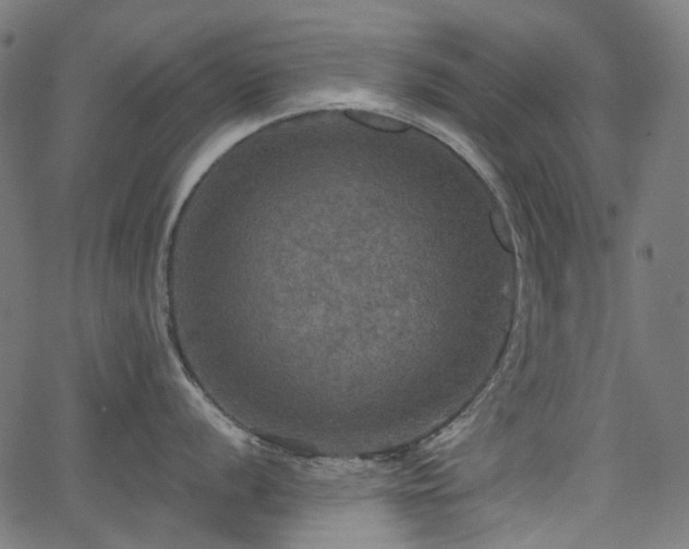 X0000066011056200603061252