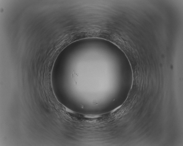 X0000066011057200603061252