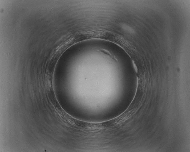 X0000066011058200603061252