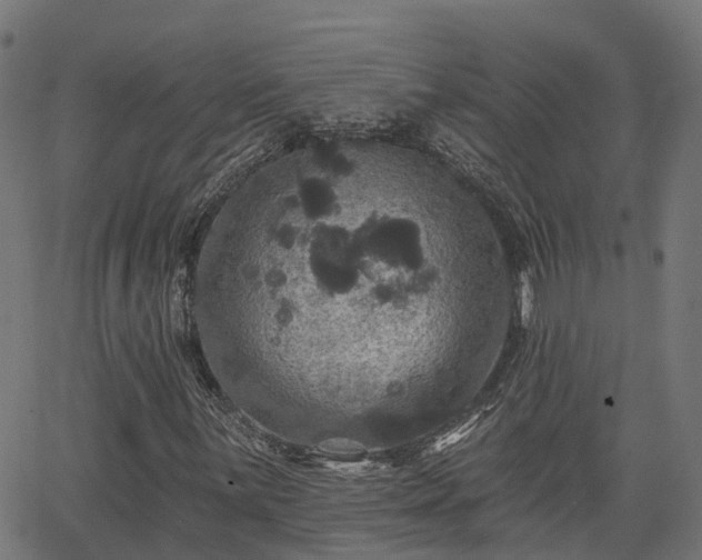 X0000066011059200603061252