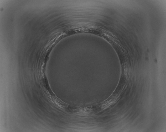 X0000066011060200603061252