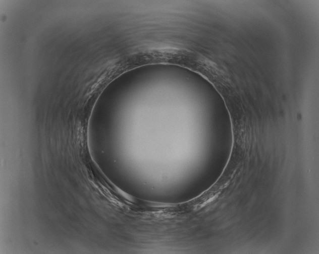 X0000066011061200603061252